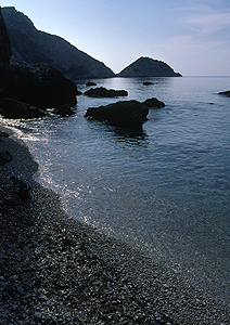 LEICA R8, ELMARIT-R 2,8/90